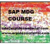 SAP MDG TRAINING VIDEOS COURSE